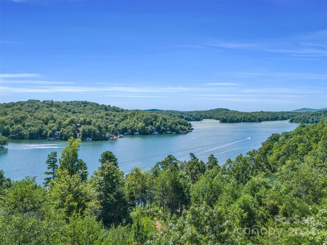 0 Holmstead Dr Lot 30, Lake Lure NC, 28746 land for sale