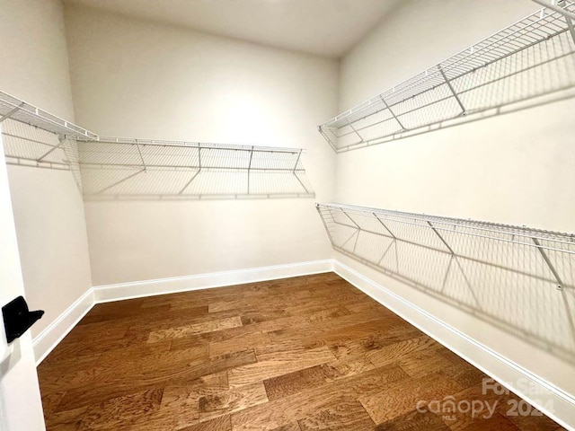 spacious closet featuring hardwood / wood-style flooring