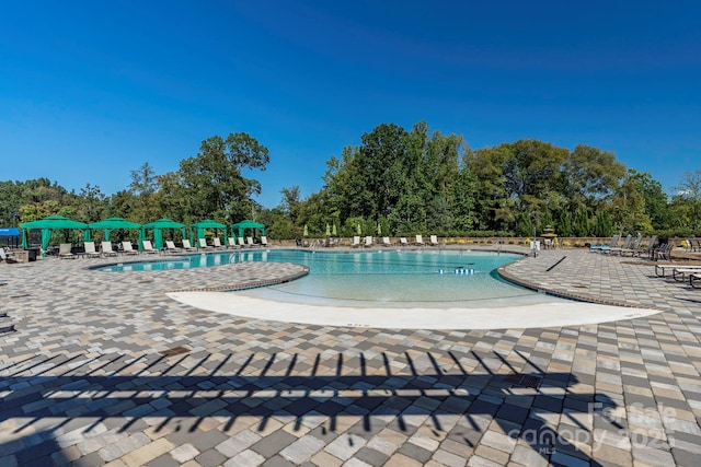 view of swimming pool with a patio