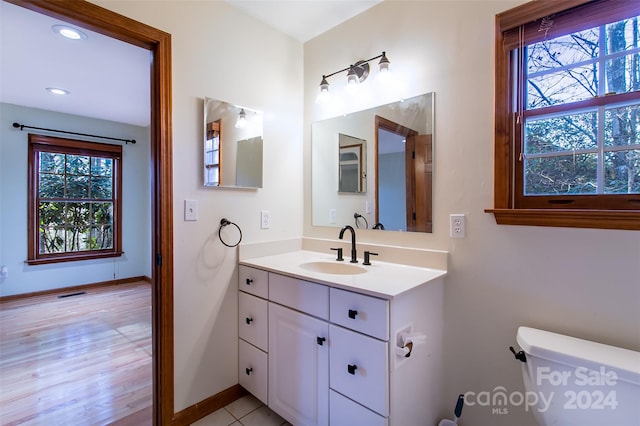 bathroom featuring vanity, toilet, and wood-type flooring