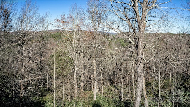 view of local wilderness with a forest view