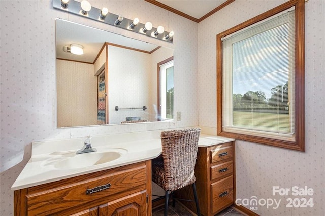 bathroom featuring crown molding and vanity