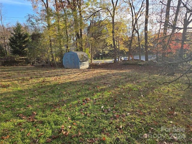 view of yard featuring a shed