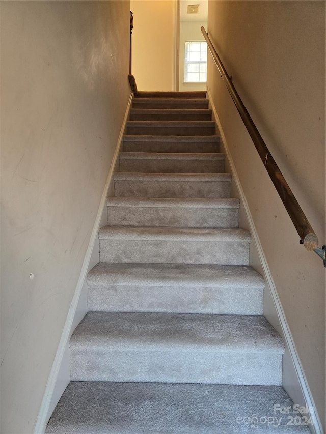 stairs featuring carpet floors