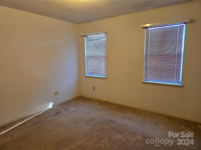 empty room featuring carpet and a textured ceiling