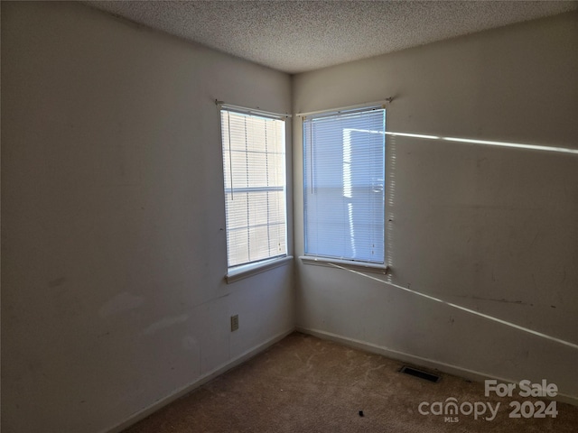 unfurnished room with carpet, a healthy amount of sunlight, and a textured ceiling