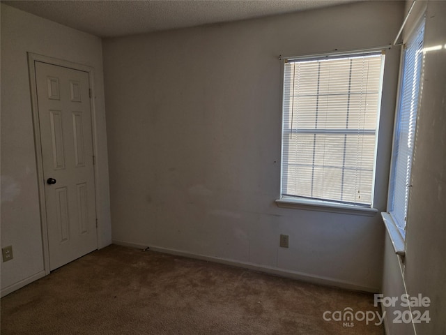 empty room featuring carpet and a textured ceiling