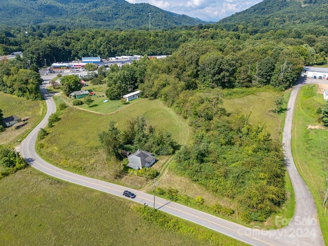 45 Georges Branch Rd, Candler, NC 28715 - photo 6