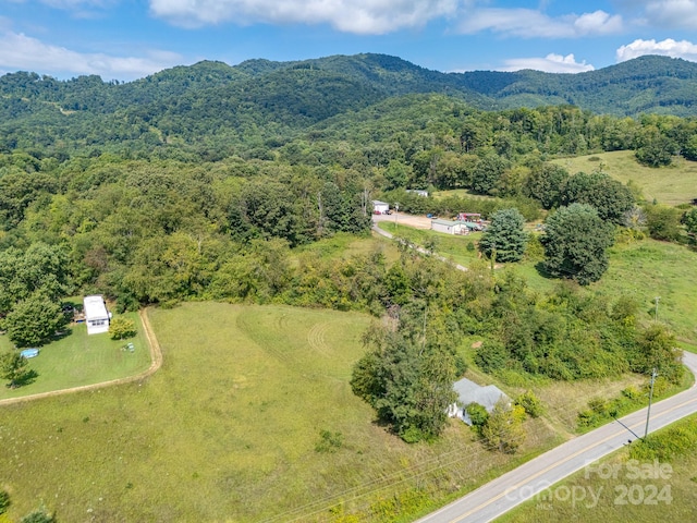 45 Georges Branch Rd, Candler, NC 28715 - photo 7