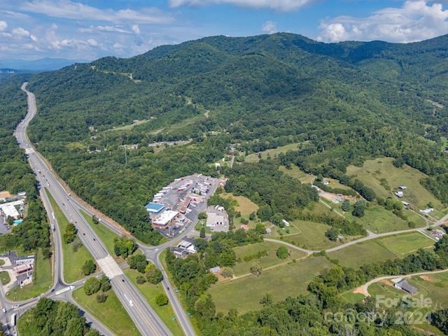 45 Georges Branch Rd, Candler, NC 28715 - photo 8
