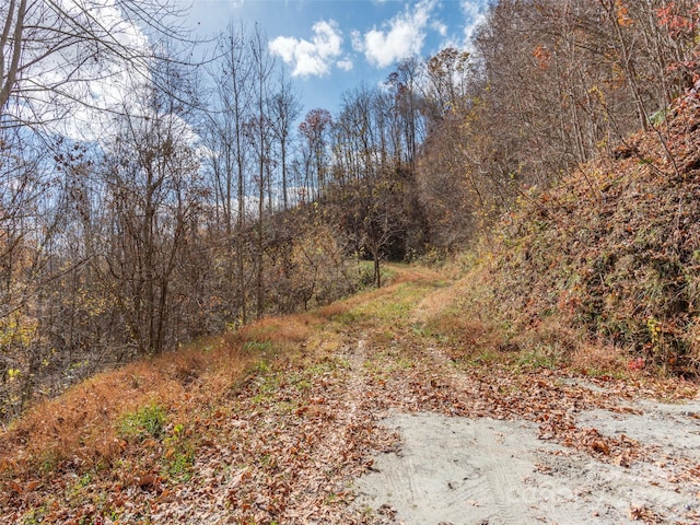 LOT5 Mcnary Dr, Clyde, NC 28721