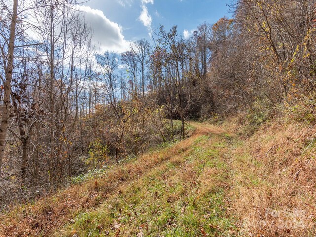LOT5 Mcnary Dr, Clyde, NC 28721