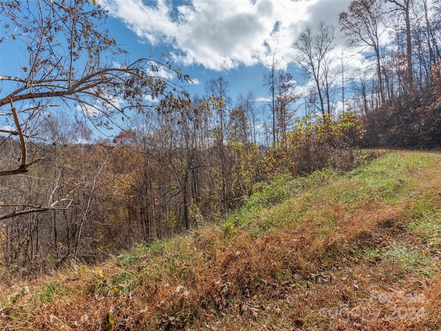 LOT5 Mcnary Dr, Clyde, NC 28721