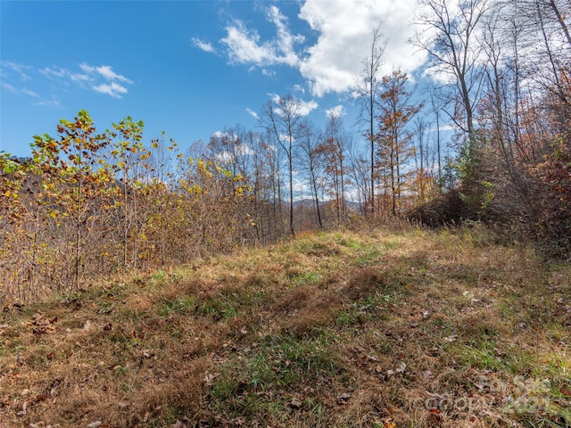 LOT5 Mcnary Dr, Clyde, NC 28721