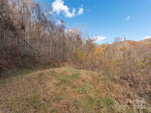 LOT5 Mcnary Dr, Clyde, NC 28721