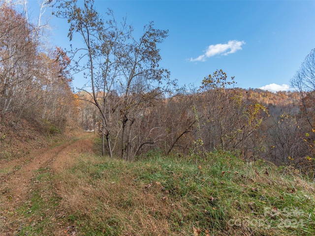 LOT5 Mcnary Dr, Clyde, NC 28721