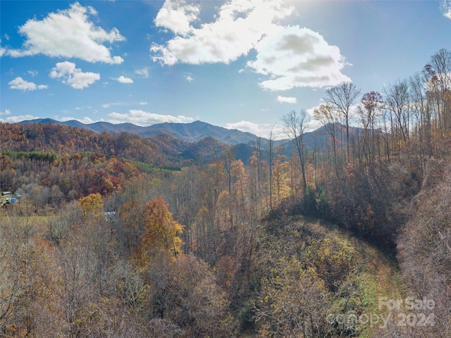 LOT5 Mcnary Dr, Clyde, NC 28721