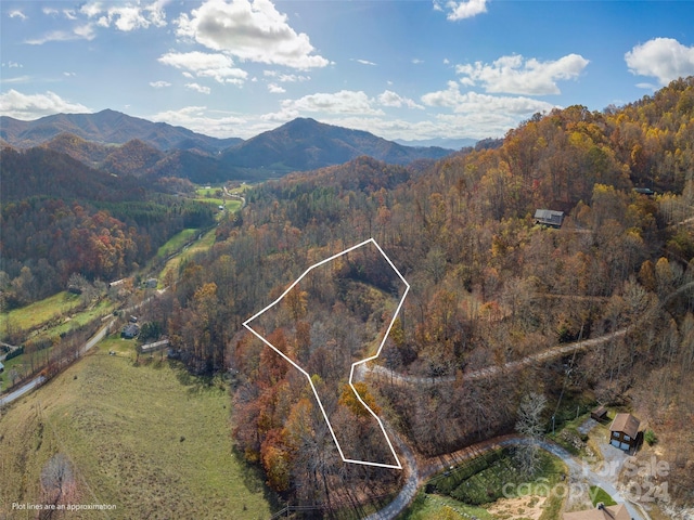 LOT5 Mcnary Dr, Clyde, NC 28721