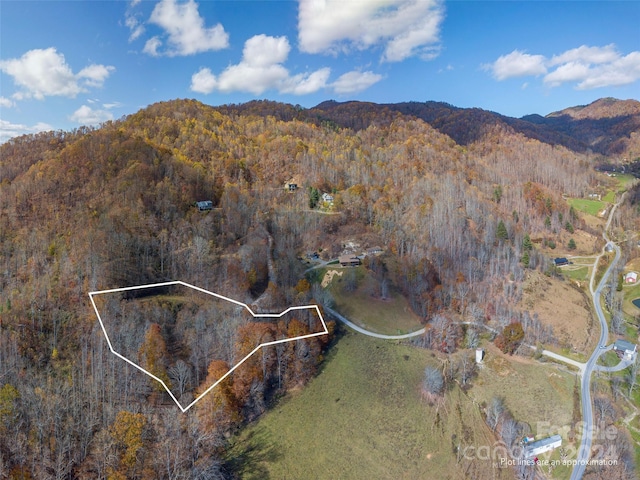 LOT5 Mcnary Dr, Clyde, NC 28721