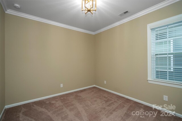 unfurnished room featuring carpet and crown molding