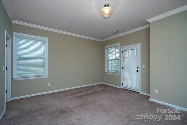 carpeted empty room featuring crown molding and a wealth of natural light