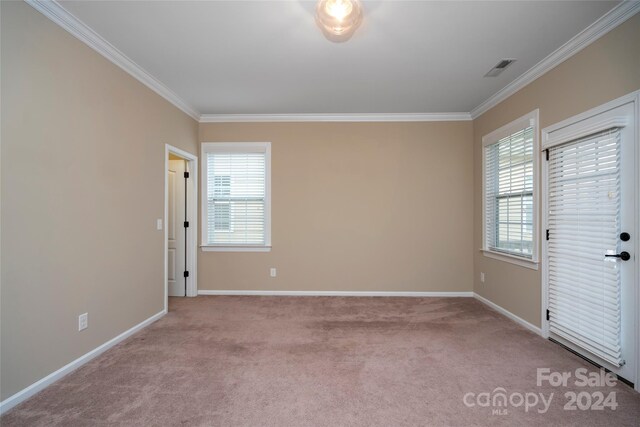 carpeted spare room featuring crown molding