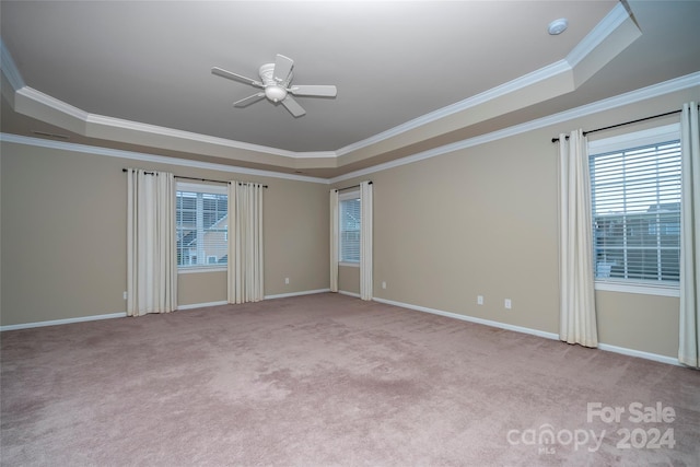 empty room with light colored carpet, a raised ceiling, and ornamental molding