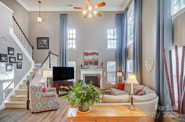 living room with ceiling fan, wood-type flooring, and ornamental molding