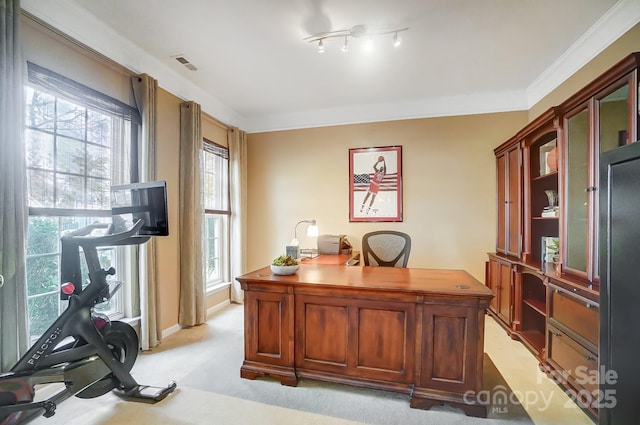 carpeted home office with a wealth of natural light and ornamental molding