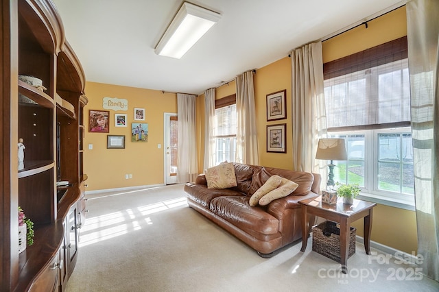 carpeted living room with a wealth of natural light