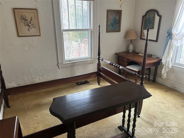 miscellaneous room with carpet flooring