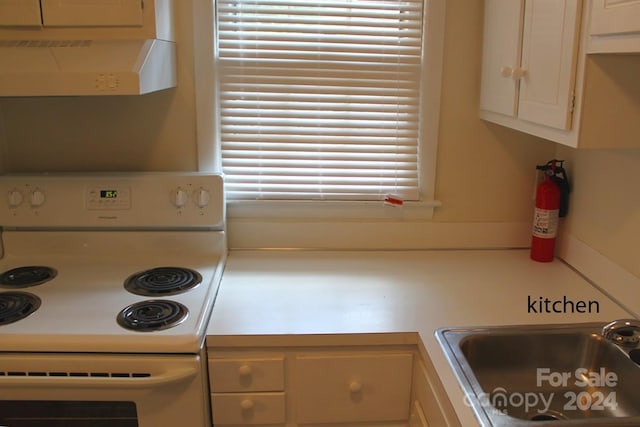 kitchen with extractor fan, white electric stove, and sink