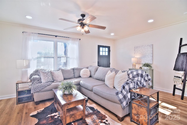 living room with ceiling fan, ornamental molding, and light wood-type flooring