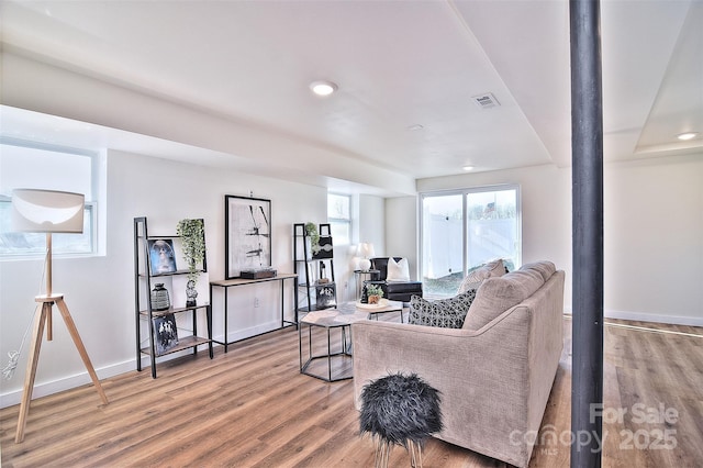 living room with wood-type flooring