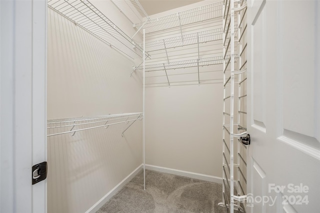 spacious closet featuring carpet flooring