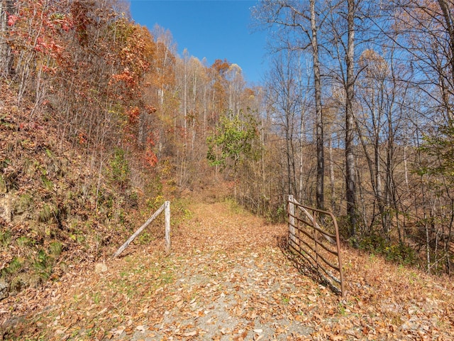 0 Mcnary Dr, Clyde, NC 28721