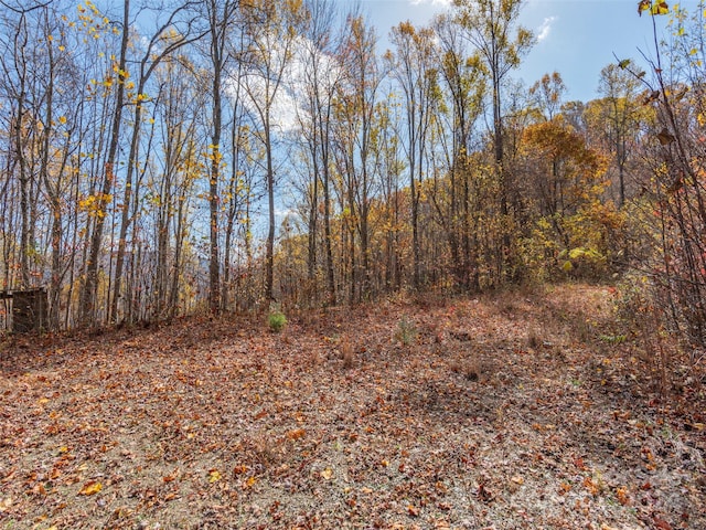 0 Mcnary Dr, Clyde, NC 28721