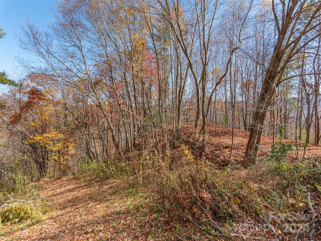0 Mcnary Dr, Clyde, NC 28721