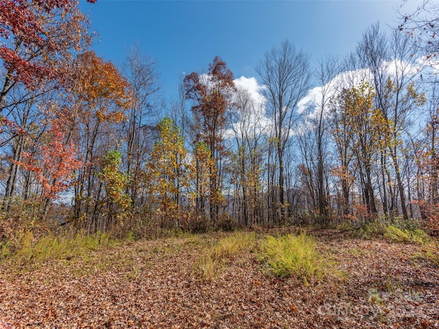 0 Mcnary Dr, Clyde, NC 28721