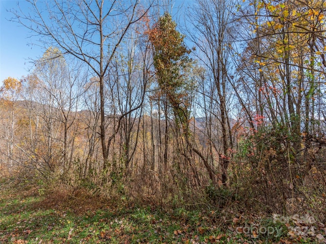 0 Mcnary Dr, Clyde, NC 28721