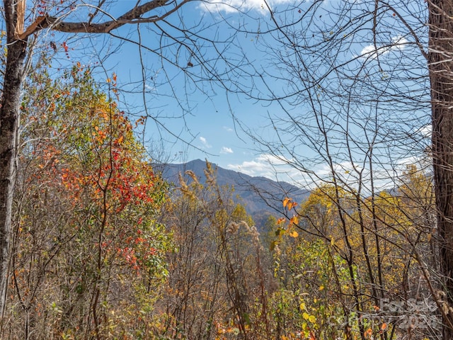 0 Mcnary Dr, Clyde, NC 28721