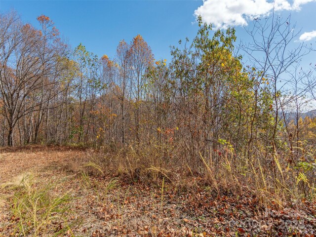 0 Mcnary Dr, Clyde, NC 28721