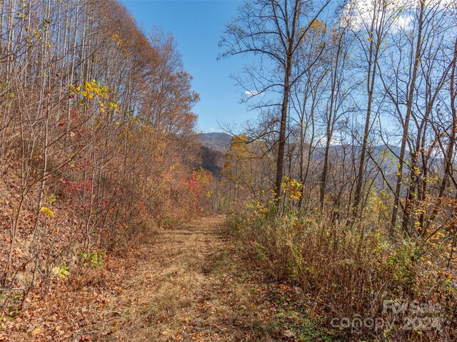 0 Mcnary Dr, Clyde, NC 28721
