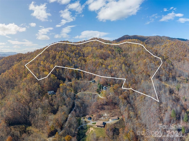 0 Mcnary Dr, Clyde, NC 28721