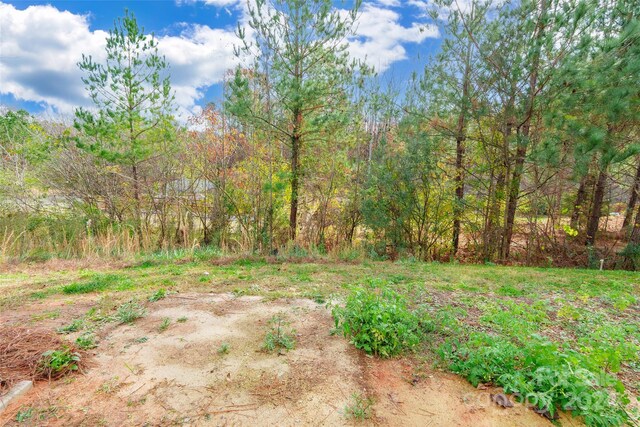 8127 Paw Club Dr, Charlotte, NC 28214 - photo 27