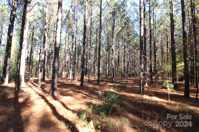 Listing photo 3 for 7/-ACLOT2 Templeton Rd, Clover SC 29710