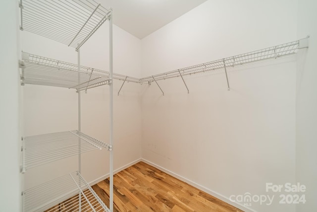 walk in closet with hardwood / wood-style floors