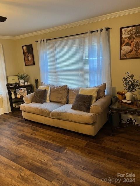 living room featuring dark hardwood / wood-style flooring and ornamental molding