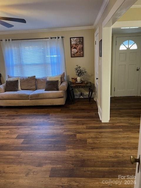 living room featuring dark hardwood / wood-style floors, ceiling fan, and crown molding