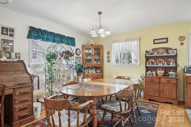 dining room featuring a notable chandelier, a healthy amount of sunlight, light wood-type flooring, and a textured ceiling